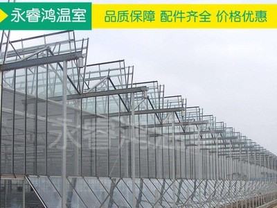 【温室大棚】厂家定制纹络式玻璃花卉连栋蔬菜蘑菇绿植温室大棚图2