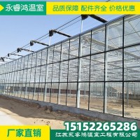 【温室大棚】厂家定制纹络式玻璃花卉连栋蔬菜蘑菇绿植温室大棚