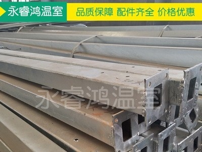 【温室大棚】厂家定制蔬菜蘑菇温室大棚 镀锌管多规格温室大棚图2