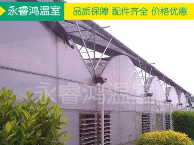 【温室大棚】新款蘑菇保温连栋温室大棚 多规格钢管蔬菜温室大棚图2