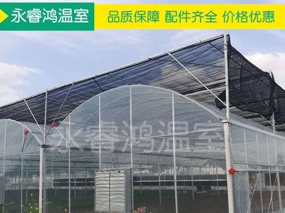 【温室大棚】新款蘑菇保温连栋温室大棚 多规格钢管蔬菜温室大棚图3