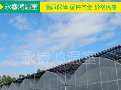 【温室大棚】新款蘑菇保温连栋温室大棚 多规格钢管蔬菜温室大棚图1