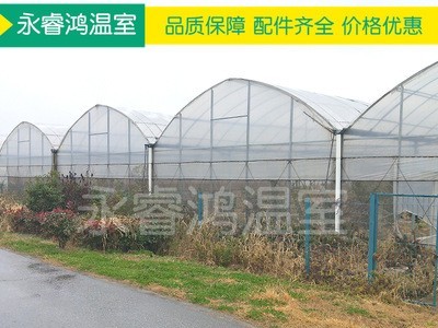 【温室大棚】新款蘑菇保温连栋温室大棚 多规格钢管蔬菜温室大棚图4