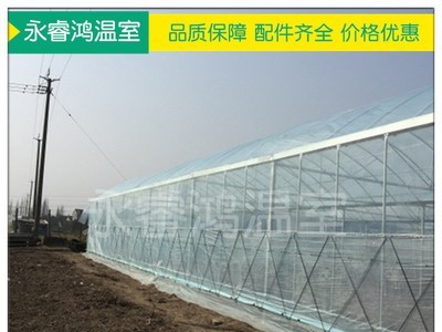 【温室大棚】新款蘑菇保温连栋温室大棚 多规格钢管蔬菜温室大棚图5