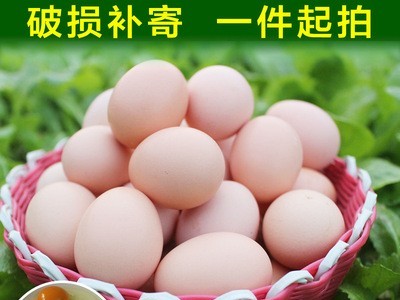 湖北青脚土鸡苗种蛋 土鸡种蛋禽蛋 受精土鸡蛋 原种鸡厂批发图5