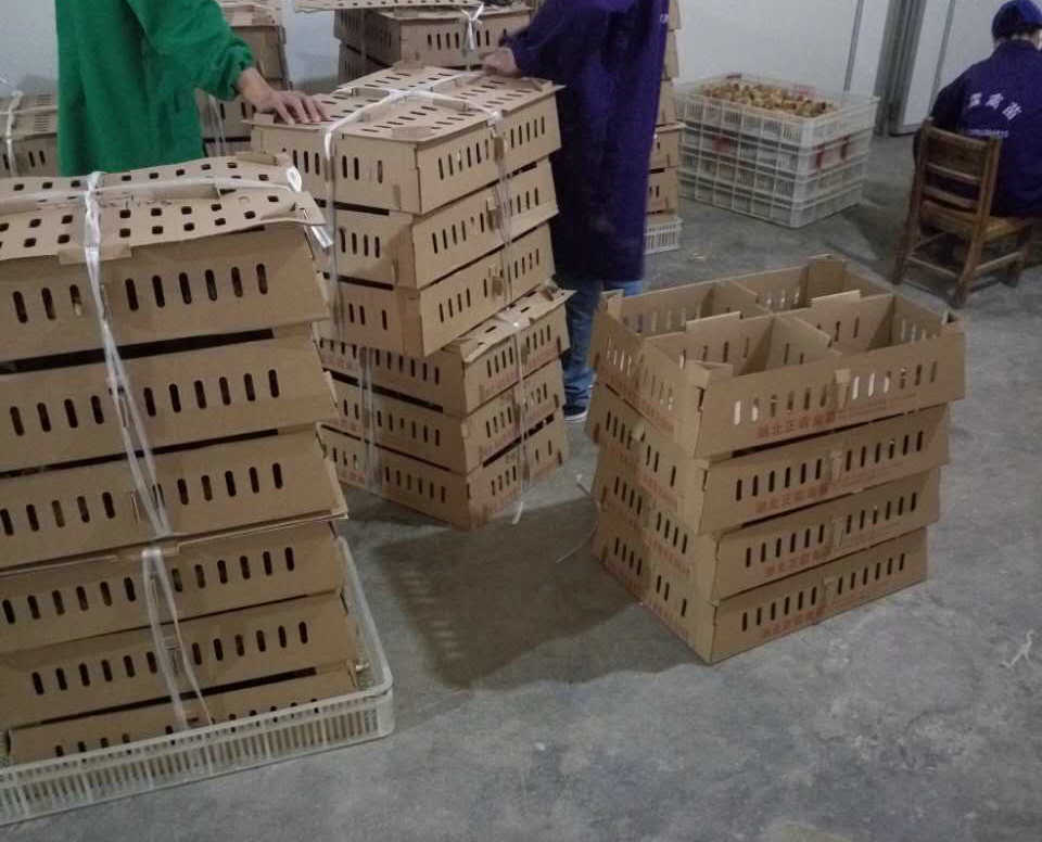 215645321448844885_副本