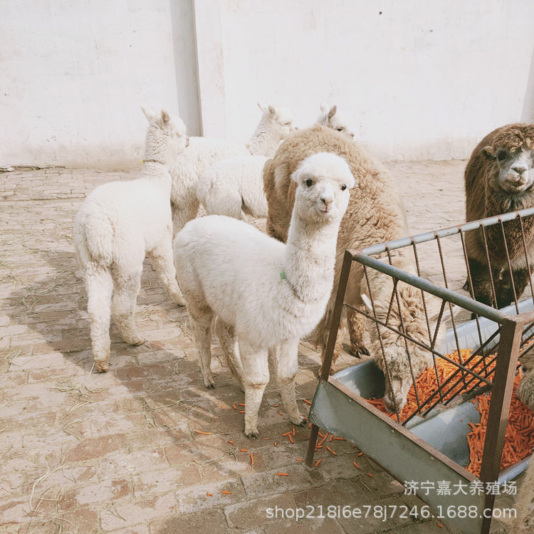 img1.yunshangxun_副本.jpg