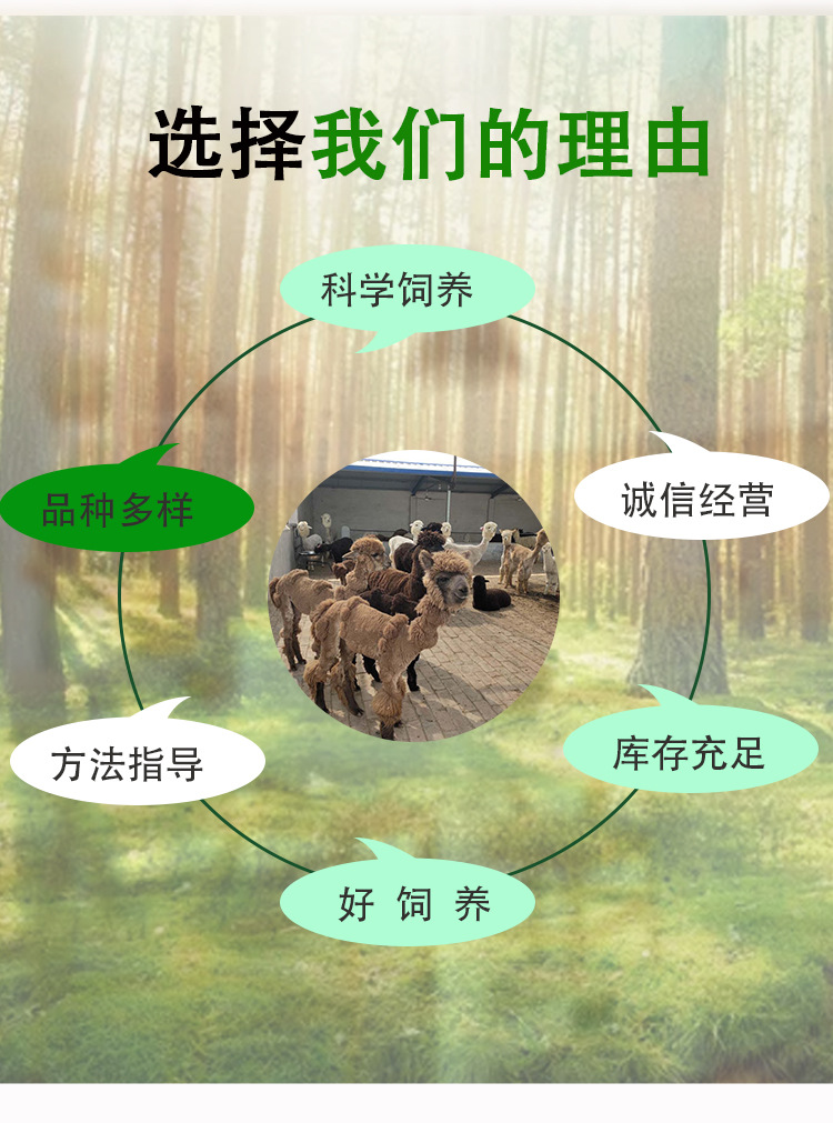 详情页_03.jpg