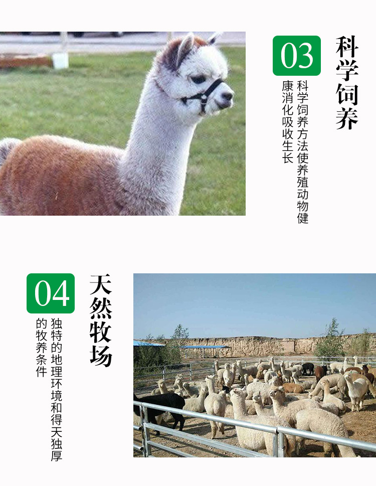 详情页_05.jpg
