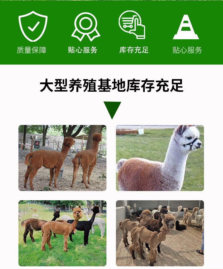 详情页_02.jpg