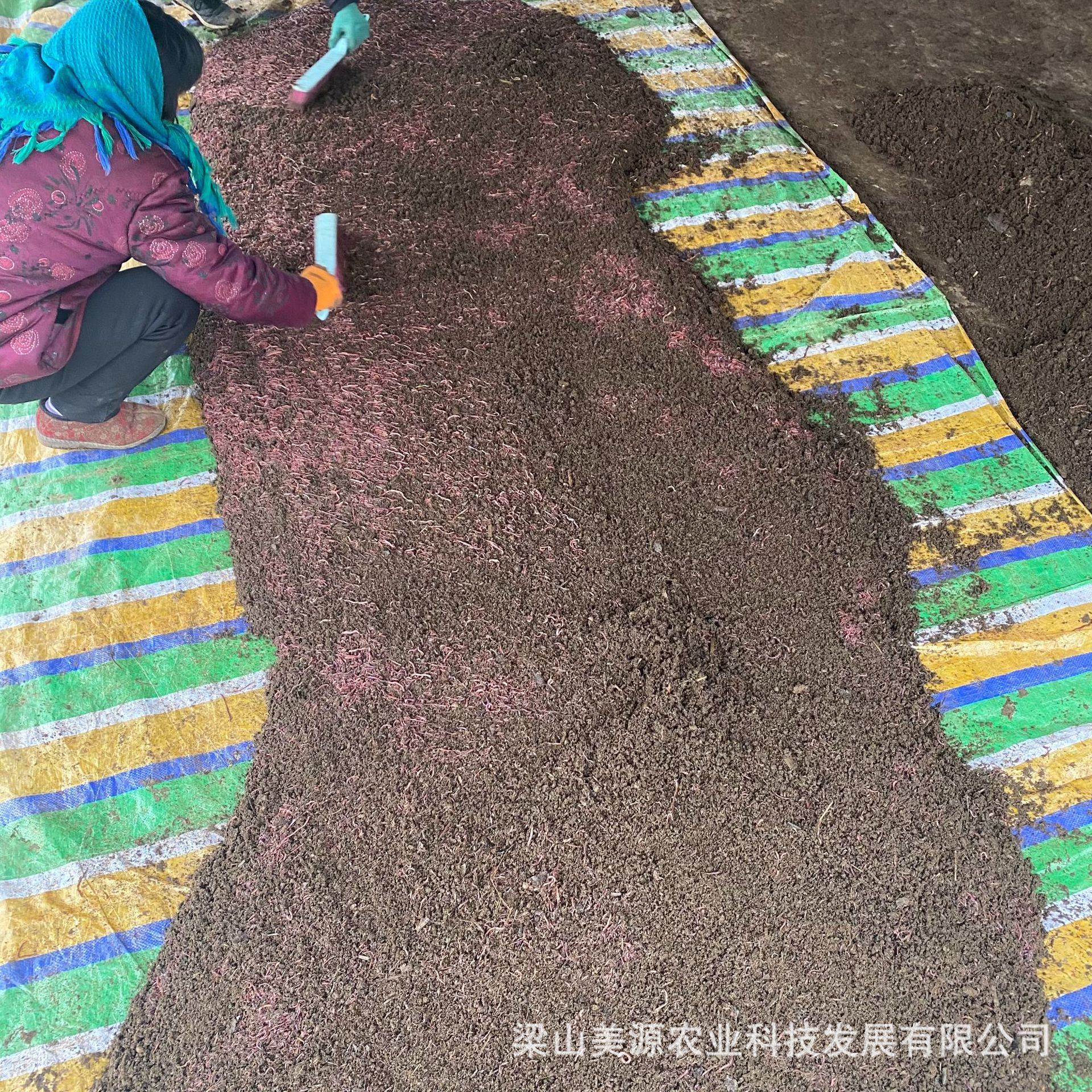 场地实拍