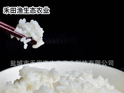 现货批发苏北大米5公斤 禾田渔圆粒珍珠米 渔谷香粳米5kg图2