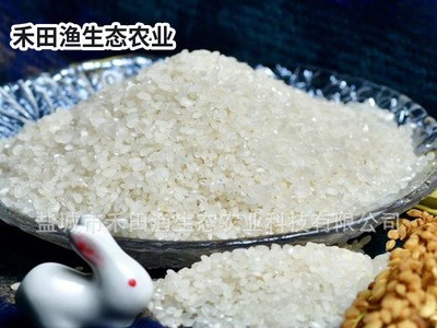 现货批发苏北大米5公斤 禾田渔圆粒珍珠米 渔谷香粳米5kg图4