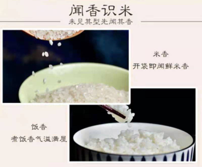 微信图片_20201218142230_04.jpg