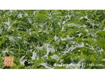 青亭圆 缙云菜干 黑色粗梅干菜 炖肉扣肉无沙干菜 浙江特产霉干菜图5