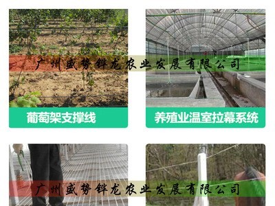 塑钢线聚酯黑托膜线幕葡萄架线薄膜大棚葡萄架聚酯托幕线聚酯线图3