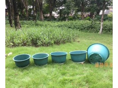加厚特大龙缸盆塑料花盆大型种树果树盆种铁树花盆青龙盆图4