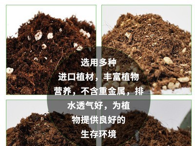 园艺花土多肉质类球根栽培种植土观叶开花营养土图2