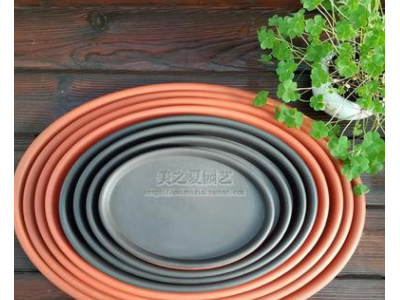 花卉绿植椭圆形托家用花盆栽托盘接水盘盆景型花托树脂椭圆托盘图3