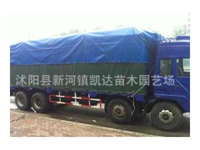 厂家直销货车篷布防雨布加厚防水防晒汽车防雨布篷布油布遮阳篷布图5