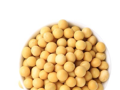 东北大豆黄豆杂粮新豆500g自立袋装 贴牌一件代发 OEM图2