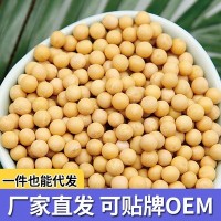 东北大豆黄豆杂粮新豆500g自立袋装 贴牌一件代发 OEM