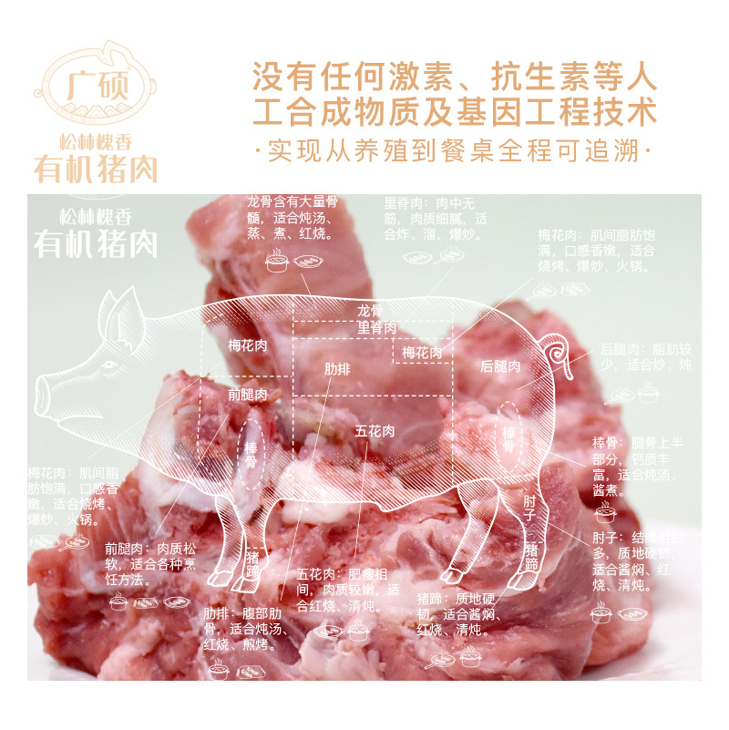 slhx-脊骨-详情