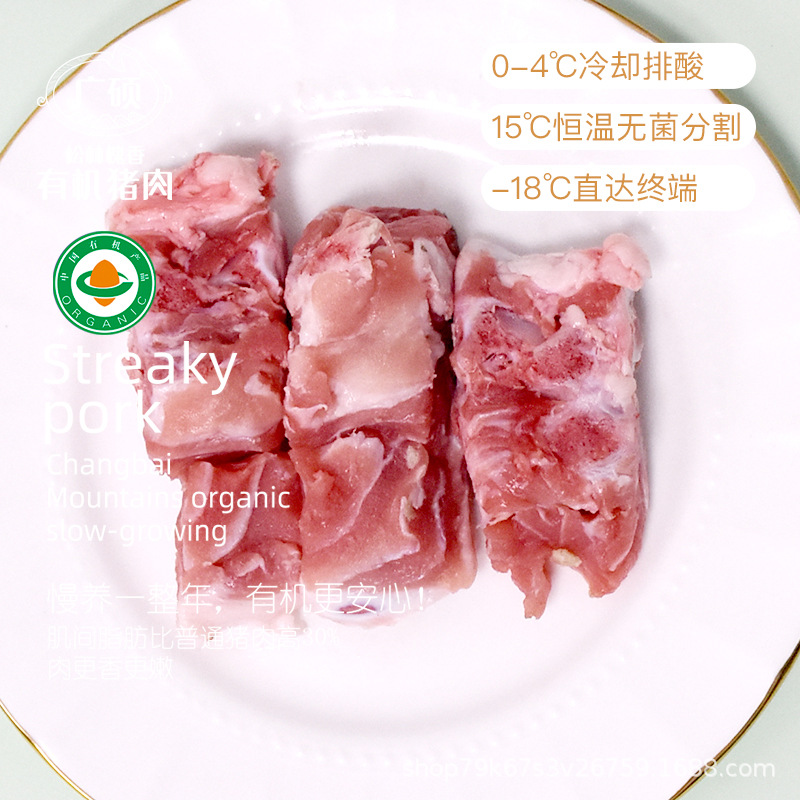 slhx-脊骨-详情