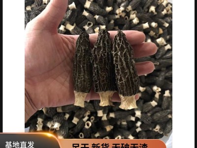 羊肚菌干货批发250g云南剪柄种植羊肚菌羊肚蘑菇菌汤包饭店食用菌图4