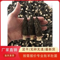 羊肚菌干货批发蘑菇散装250g足干菌汤包用头茬剪柄云南特产食用菌