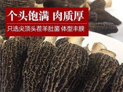 头茬羊肚菌干货批发250g剪柄厚肉大个羊肚蘑羊肚菇饭店煲汤菌汤包图4