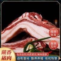 厂家直供新鲜黑毛猪藏香猪现杀10斤起批黑猪肉过节送礼批发