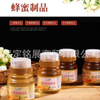 【厂家直供】土蜂蜜洋槐蜂蜜枣花蜜制品批发贴牌一件代发500g