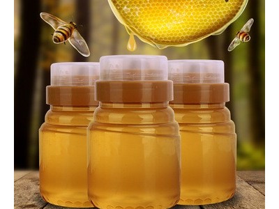 【工厂直供】蜂蜜批发500g土蜂蜜百花蜜枣花蜜制品一件代发贴牌图5
