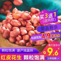 生红皮花生米 农家花生仁红皮花生仁 五谷杂粮批发
