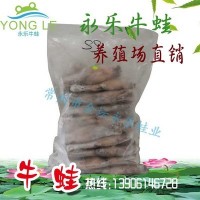 厂家加工直供冷冻速冻牛蛙肉速冻水产无冰衣新鲜大量批发永乐牛蛙