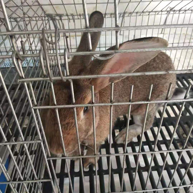 微信图片_20190909171445