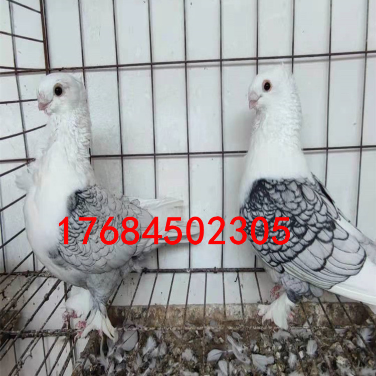 4e58534ec85e3edb687437496e0b18