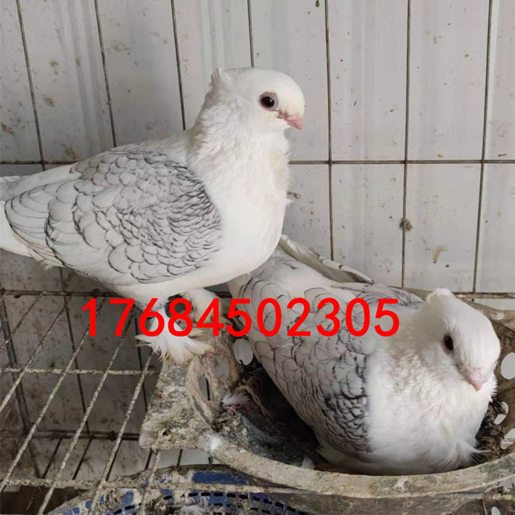 17eeb31ddd7bfc0b90aa6c05bd3a20