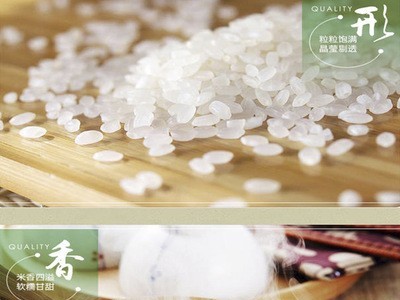 厂家直供东北长粒香米大米5kg批发售 晟宝好芈东北真香米代发图4