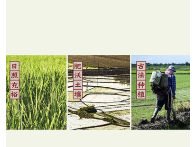 长粒香米10kg批发大米微商代发 茉莉香米OEM团购定制厂家批发图2