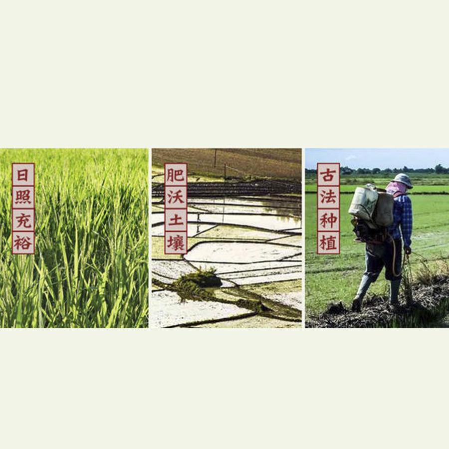 高棉皇10kg茉莉05