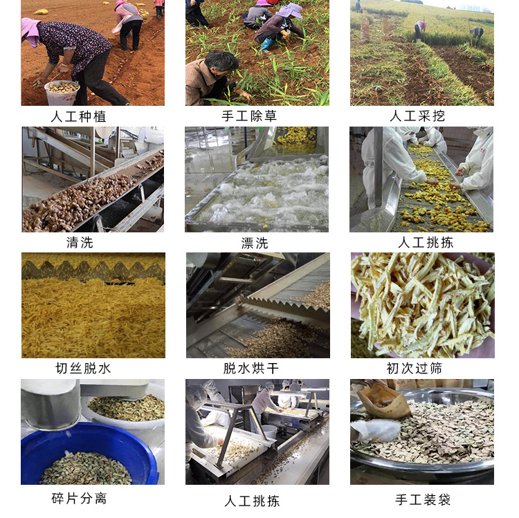 生姜丝_04.jpg