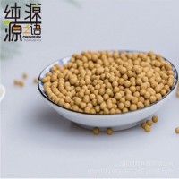 小黄姜姜丸浓姜丸原始点纯姜丸代替熟姜粉片瓶装250克