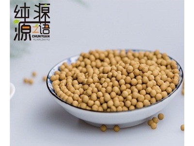 小黄姜姜丸浓姜丸原始点纯姜丸代替熟姜粉片瓶装250克图3