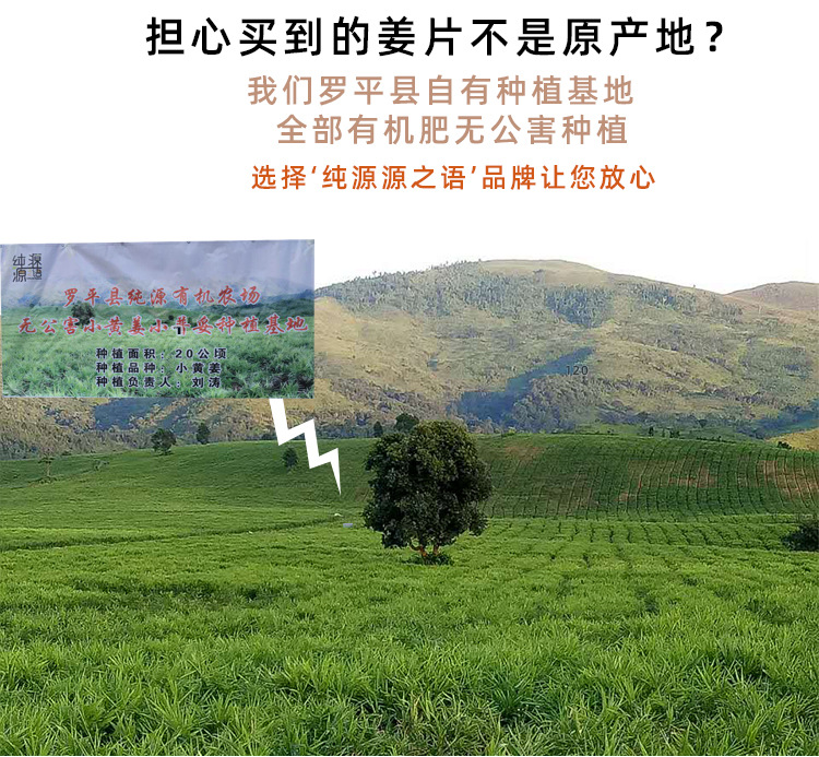 熟姜片详情页_06.jpg