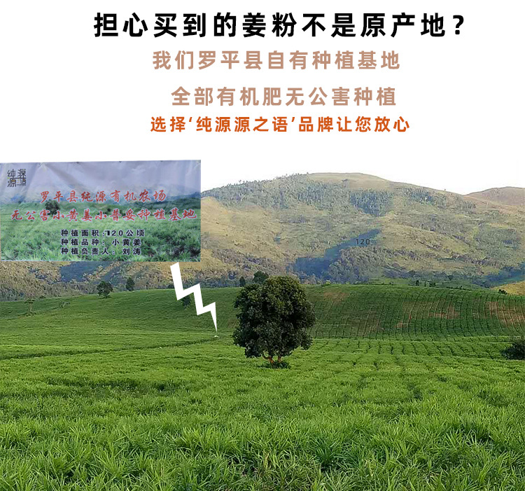 熟姜粉1_02.jpg
