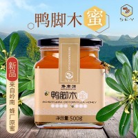 采蜂匠鸭脚木蜂蜜岭南特色冬蜜厂家批发OEM代工瓶装深山蜂蜜