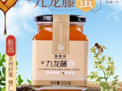 采蜂匠九龙藤蜂蜜深山植物蜜源土蜂蜜瓶装中华蜂蜜批发OEM中蜂蜜图2