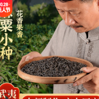 【厂家直供】麻粟正山小种枞香花香武夷山红茶浓香型茶叶批发散装